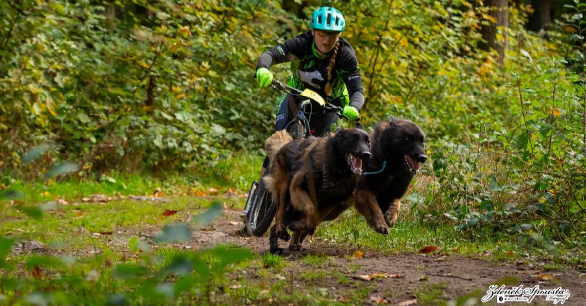 Závod se psy Panda Plus – CC, SC1, BKJ + speciálka BKJ malí psi a speciálka pro běžce 50+ a 60+